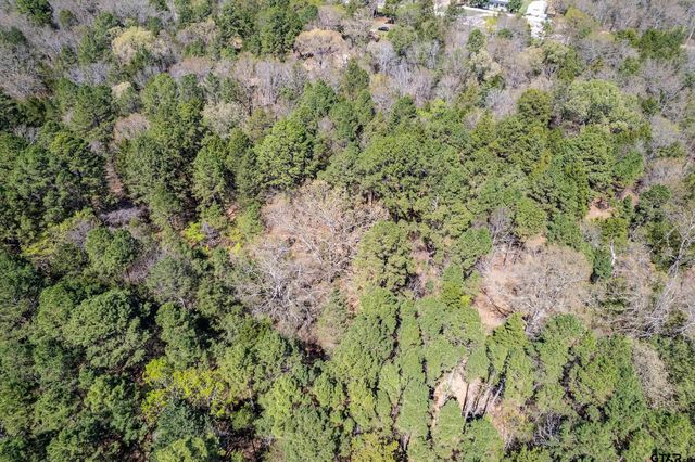 7715 State Hwy 64, Ben Wheeler, TX 75754