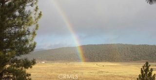 2809 Cedar Lane, Big Bear City, CA 92314