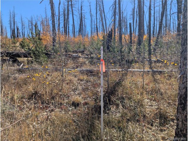 1708 Burgoyne Loop, Fort Garland, CO 81133