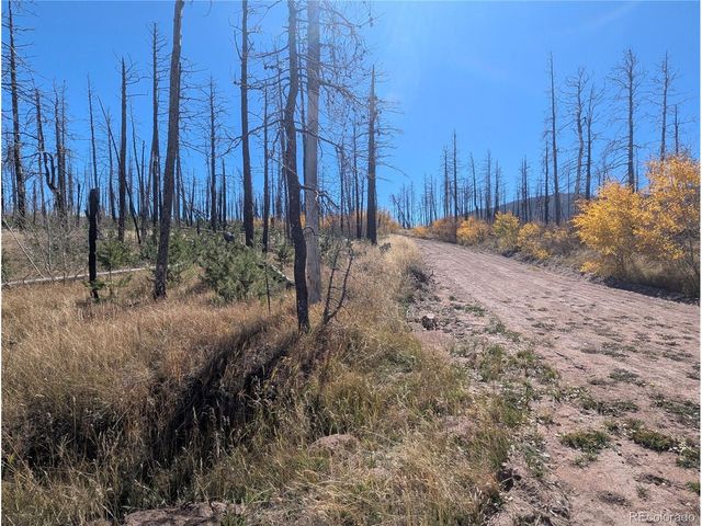 1708 Burgoyne Loop, Fort Garland, CO 81133