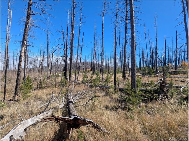 1708 Burgoyne Loop, Fort Garland, CO 81133