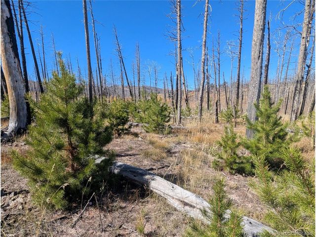 1708 Burgoyne Loop, Fort Garland, CO 81133