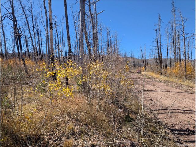 1708 Burgoyne Loop, Fort Garland, CO 81133