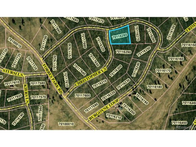 1708 Burgoyne Loop, Fort Garland, CO 81133