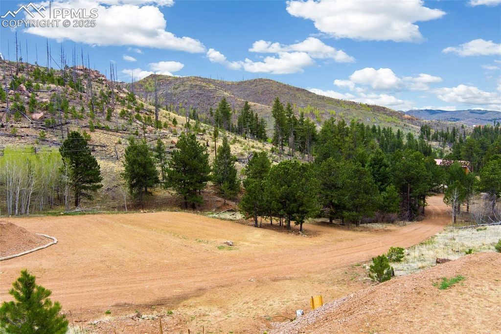 13990 S Highway 67, Woodland Park, CO 80863 — exterior