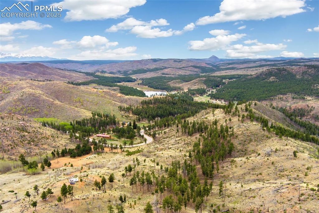 13990 S Highway 67, Woodland Park, CO 80863 — photo 4