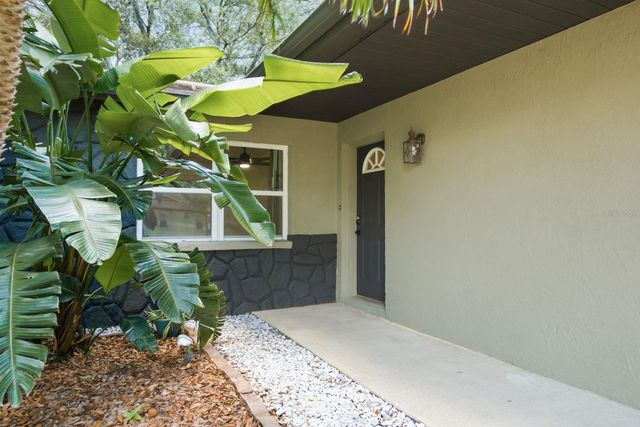 442 EVERGREEN DRIVE, Oldsmar, FL 34677