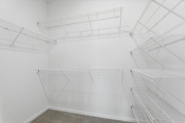 8311 Rusty Blackhaw Lane, Baytown, TX 77523