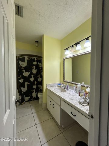 223 Pine Cone Trail, Ormond Beach, FL 32174