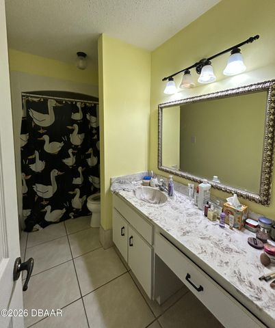 223 Pine Cone Trail, Ormond Beach, FL 32174