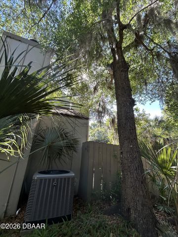 223 Pine Cone Trail, Ormond Beach, FL 32174