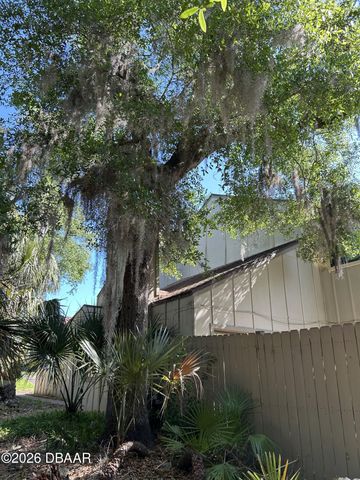 223 Pine Cone Trail, Ormond Beach, FL 32174