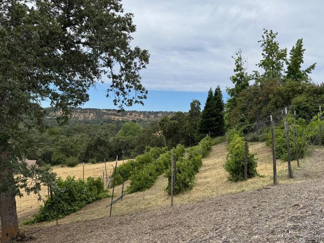 2233 Toscana Place, Auburn, CA 95603