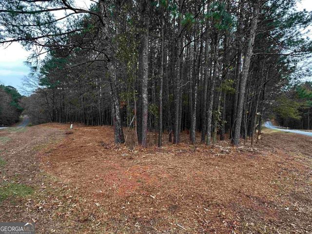 1220 Anchor Bay Circle, Greensboro, GA 30642