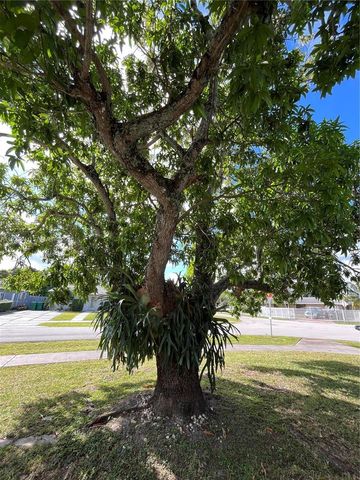 10011 SW 162nd St, Miami, FL 33157