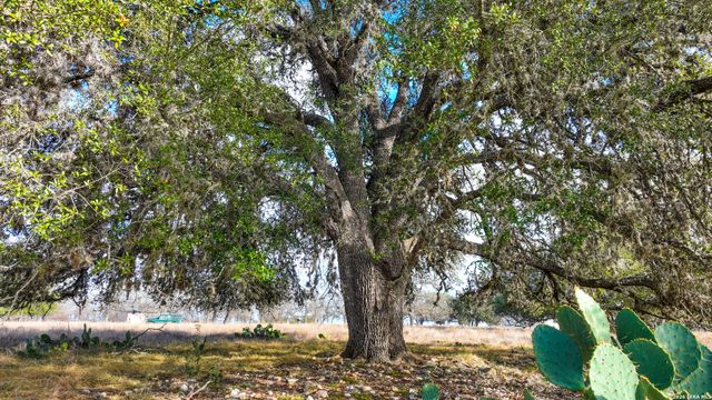 455 Hubble, Medina, TX 78055