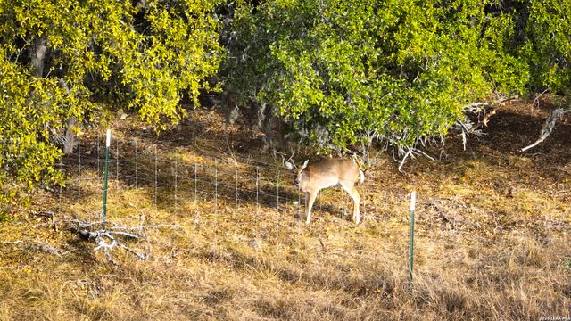 455 Hubble, Medina, TX 78055