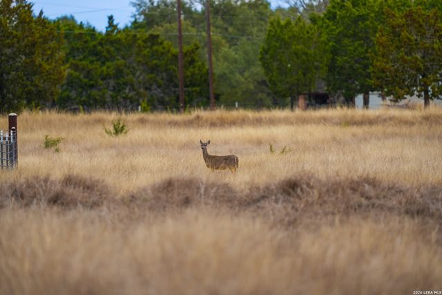 455 Hubble, Medina, TX 78055