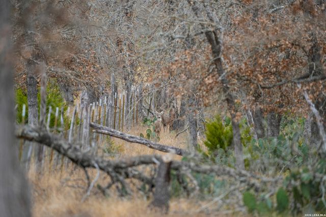 455 Hubble, Medina, TX 78055