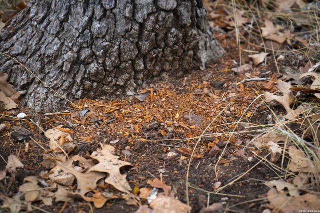 455 Hubble, Medina, TX 78055