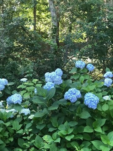 602 Elm St., Walpole, MA 02081