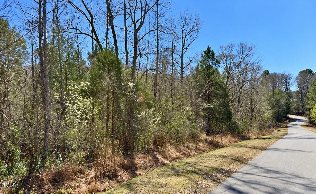 132 Bill Thomas Road, Moncure, NC 27559