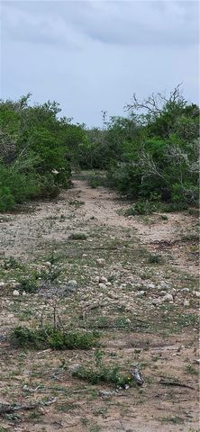 0 County Road 103, San Diego, TX 78384