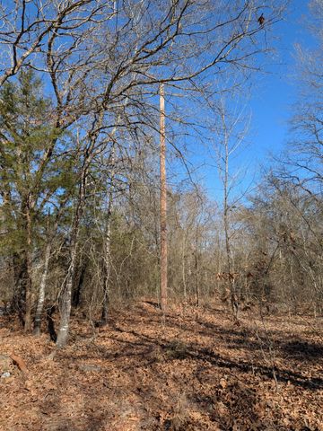 179 RS County Road 2572, Alba, TX 75410