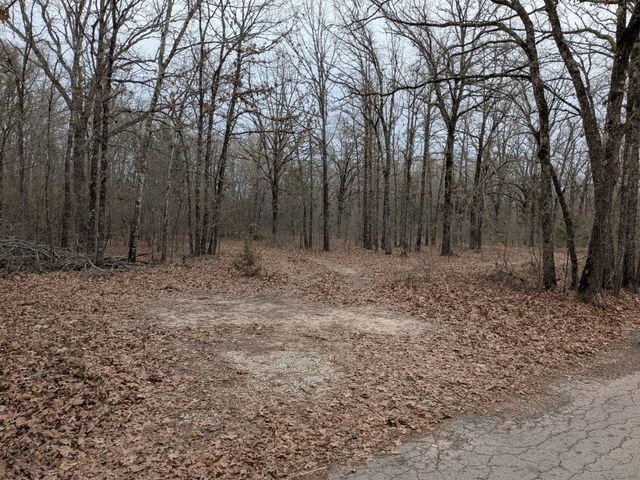 179 RS County Road 2572, Alba, TX 75410