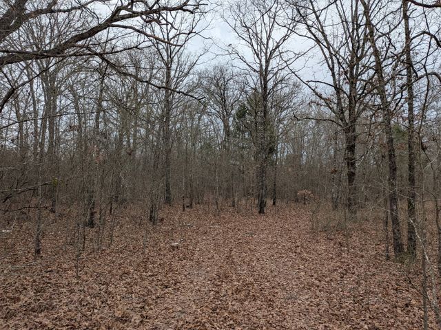 179 RS County Road 2572, Alba, TX 75410