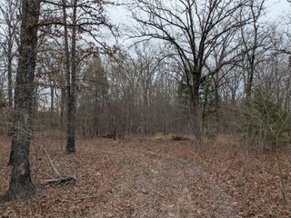 179 RS County Road 2572, Alba, TX 75410