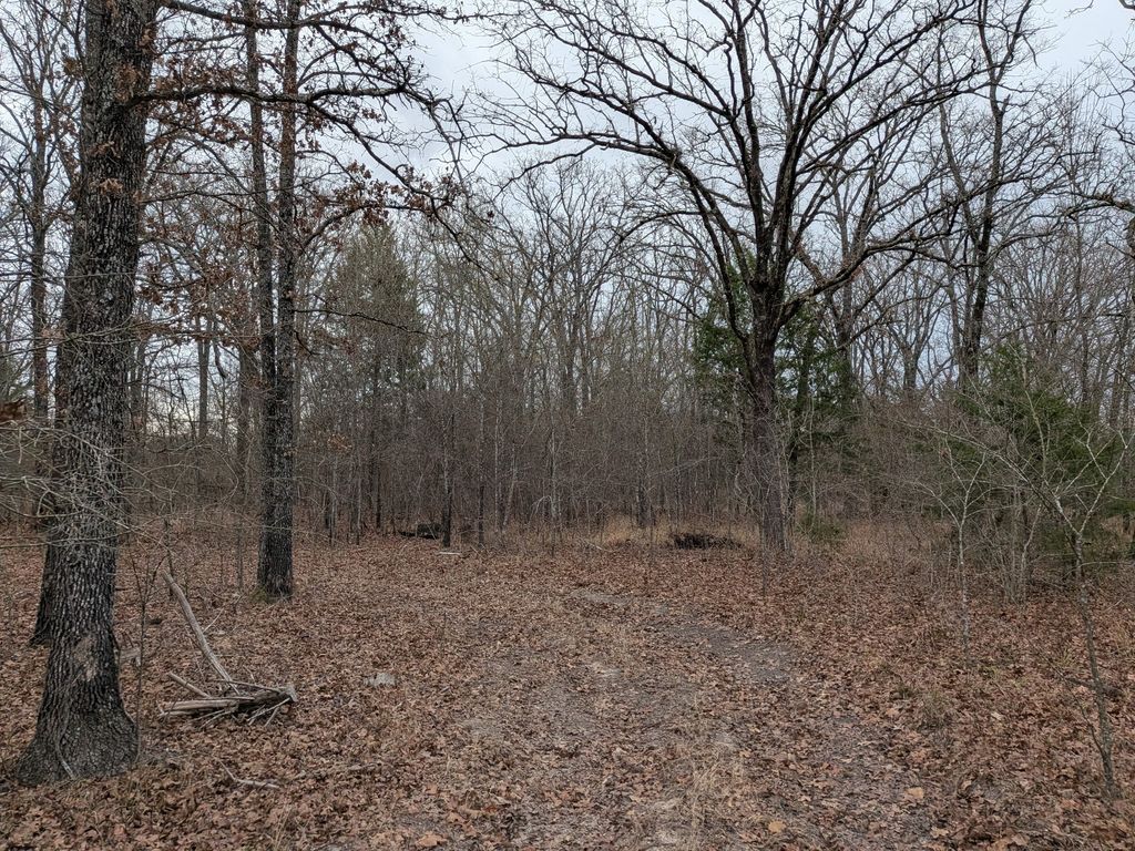 179 RS County Road 2572, Alba, TX 75410