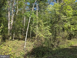 POORHOUSE RD, Madison, VA 22727