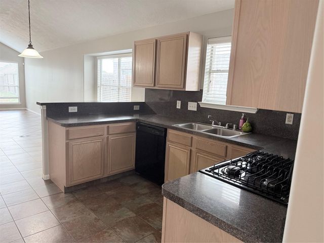 21514 Juniper Meadows Drive, Spring, TX 77388