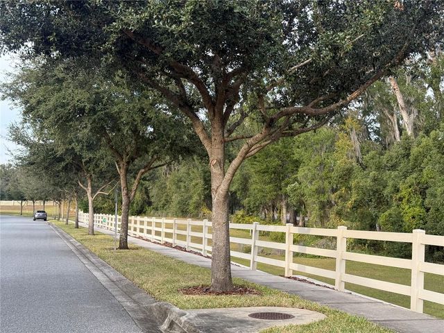 1142 E 10TH STREET, Apopka, FL 32703