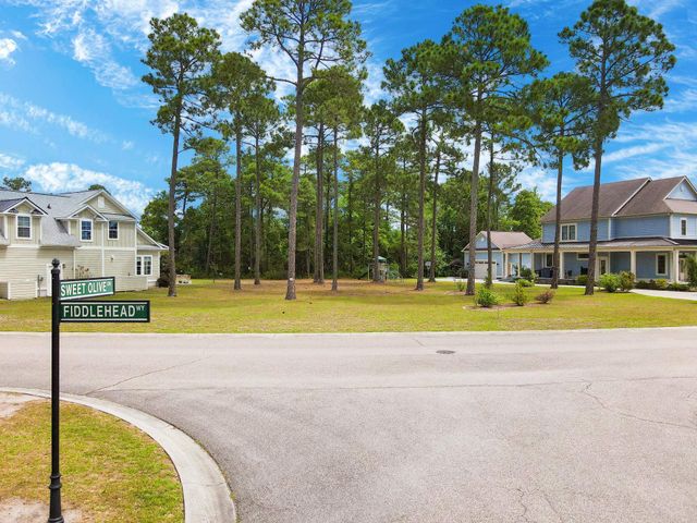 1058 Fiddlehead Way, Myrtle Beach, SC 29579