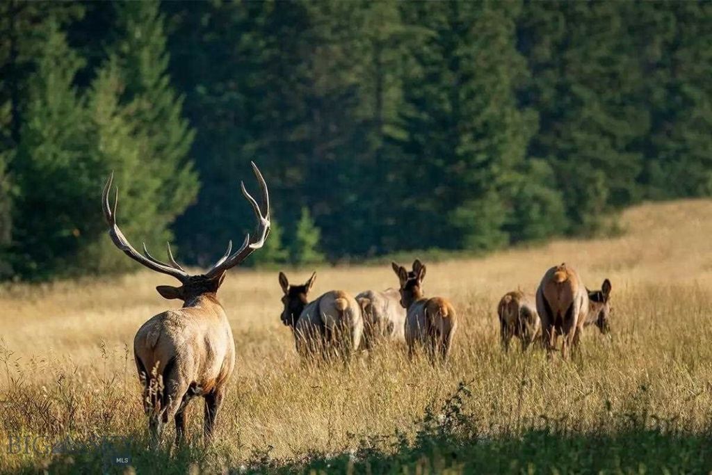 109 Labelle Gulch Road, Butte, MT 59701 photo 33