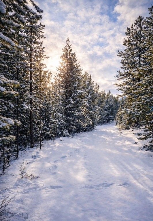 109 Labelle Gulch Road, Butte, MT 59701 photo 37