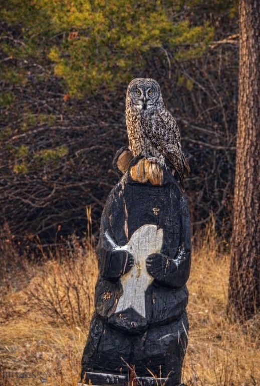 109 Labelle Gulch Road, Butte, MT 59701 photo 39