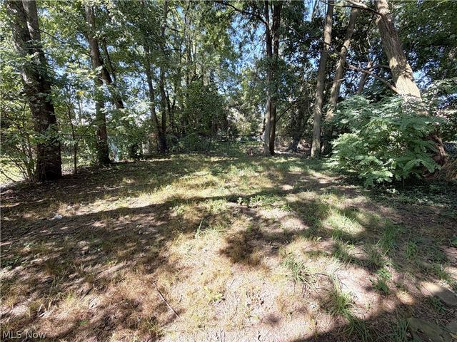 547 Morgan Avenue, Akron, OH 44311