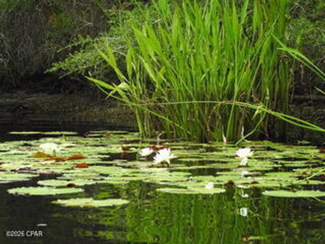 22942 Ann Miller Road 111, Panama City Beach, FL 32413