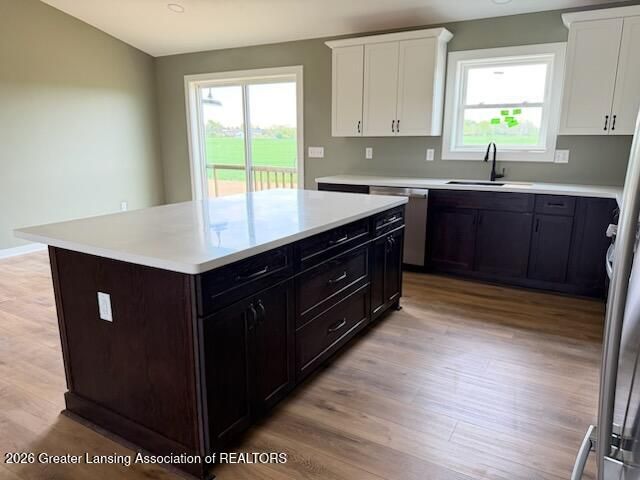 5259 E Clark Road, Bath, MI 48808