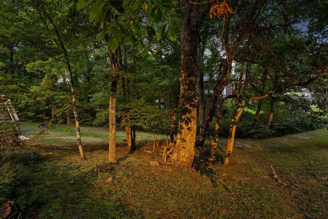31 Mountain Cove Road, Signal Mountain, TN 37377