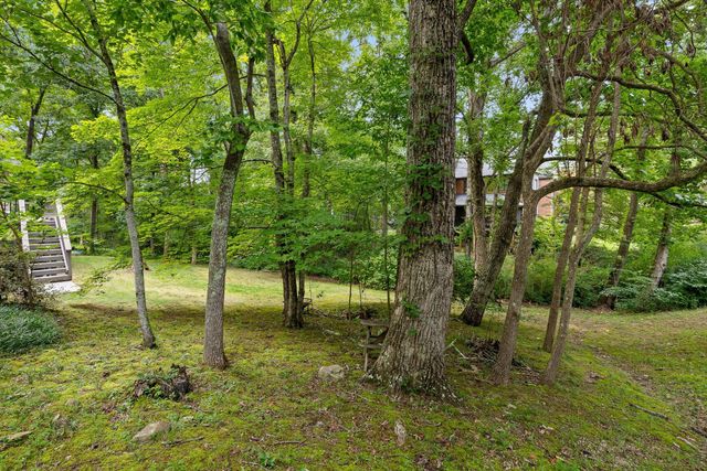 31 Mountain Cove Road, Signal Mountain, TN 37377