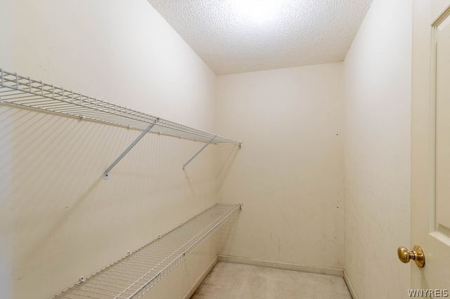 319 King Peterson Road, Buffalo, NY 14204