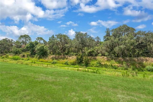 3142 MARINE GRASS DRIVE, Wimauma, FL 33598