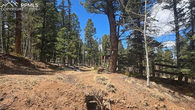 129 Mt Elbert Road, Florissant, CO 80816