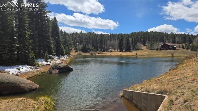 129 Mt Elbert Road, Florissant, CO 80816