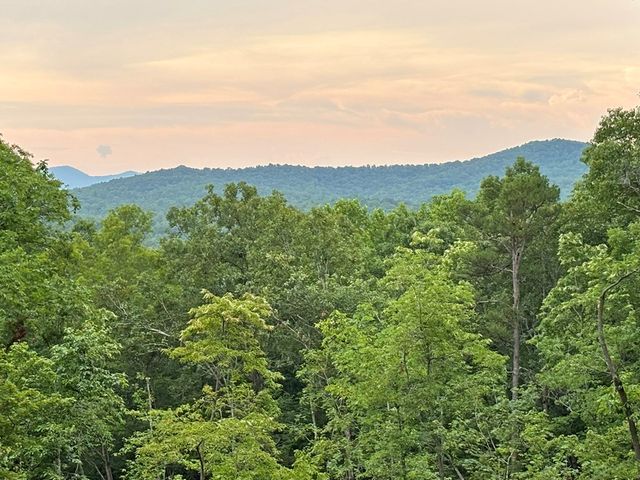 200 Oak Crest Drive, Morganton, GA 30560
