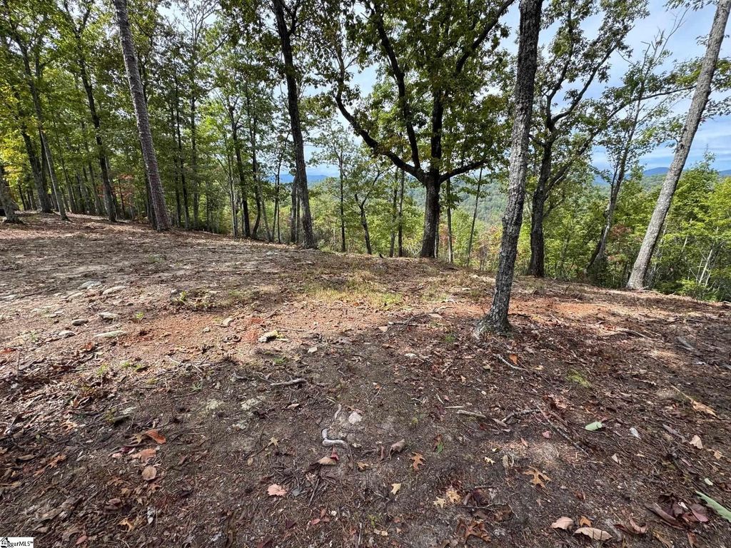 220 Blue Bonnet Trail, Marietta, SC 29661